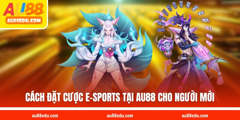 Cách đặt cược e-sports tại AU88 cho người mới