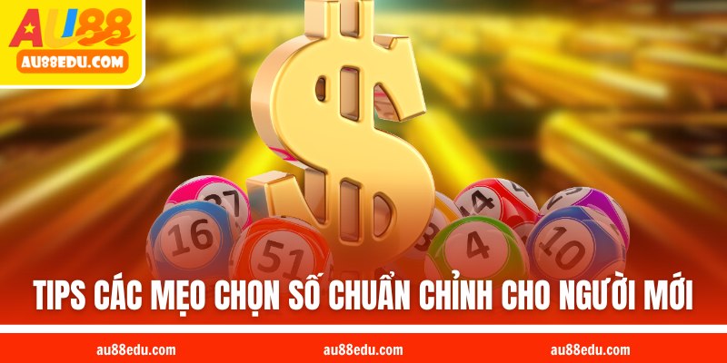 Tips các mẹo chọn số chuẩn chỉnh cho người mới